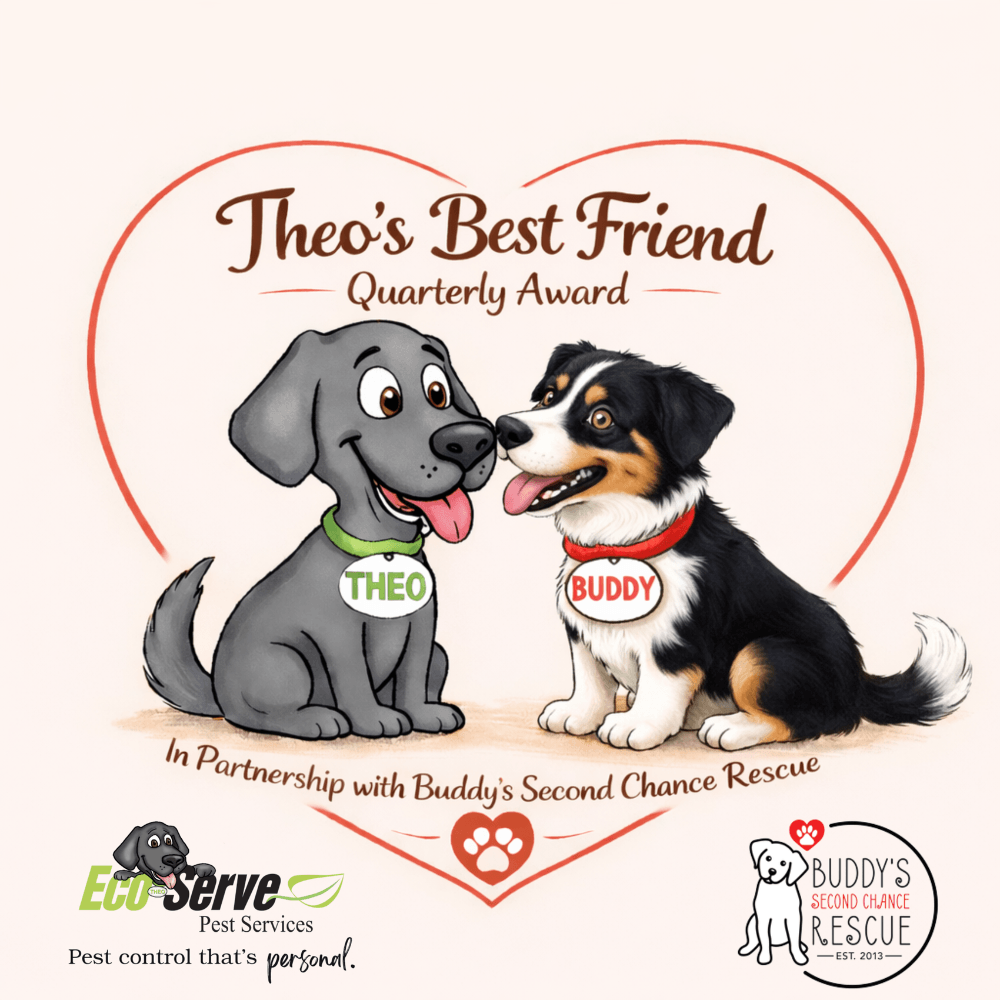 The Theo's Best Friend Award Logo