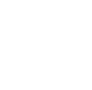 bed bug icon