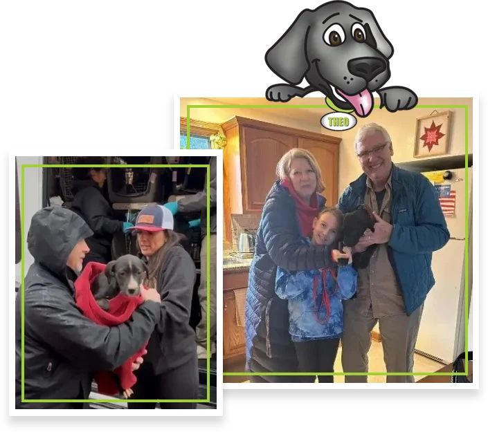 buddys second chance rescue