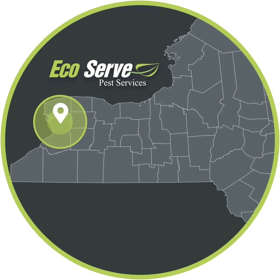 Eco Serve service area map New York