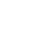 mosquito icon