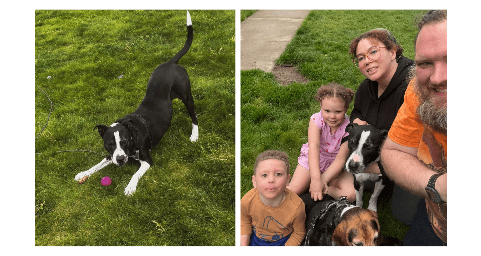 Nero, Eco Serve's first sponsored pup, with his new family