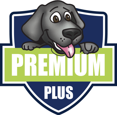 premium plus icon