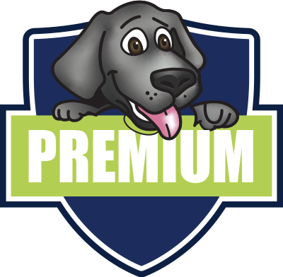 premium icon