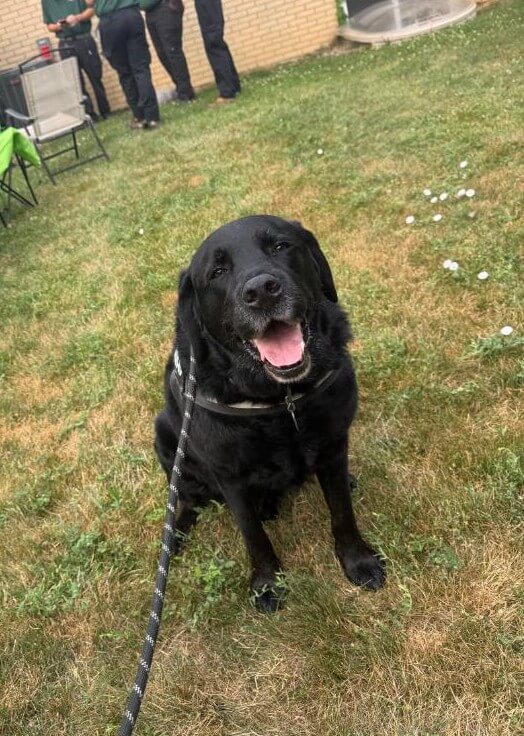 Eco Serve's Chief Barking Officer Theo