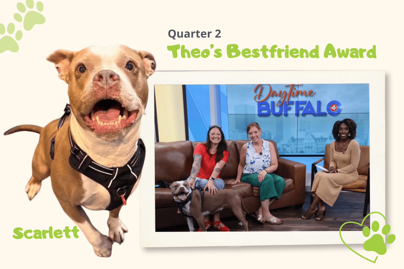 Scarlett, Eco Serve's second sponsored pup with Julie, Audrey and Chelsea at the Daytime Buffalo Show