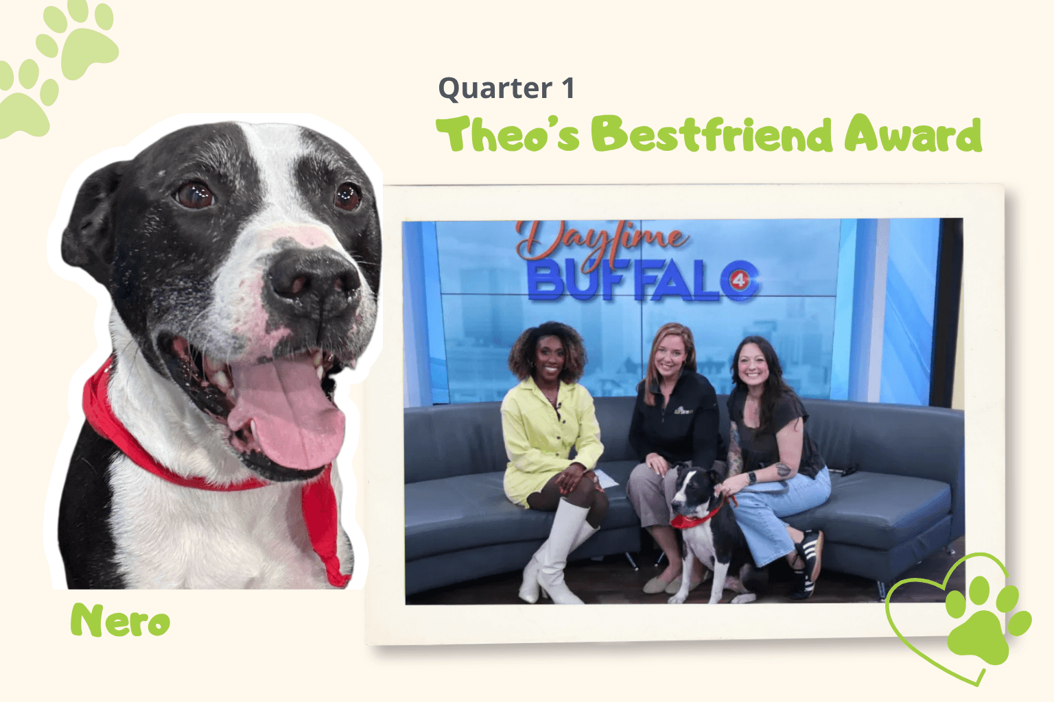 Nero with Audrey, Julie and Chelsea at the Daytime Buffalo Show