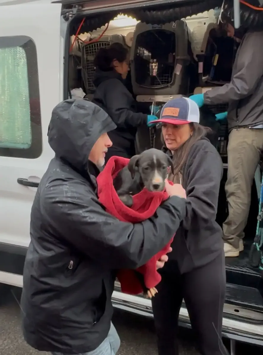 eco serve community involvement