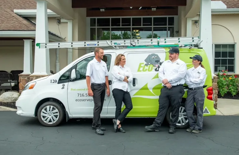 team and company van