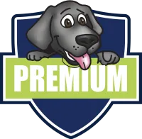 premium icon
