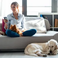 woman, dog, indoors 