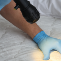 Bed Bug Inspection