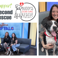 buddys second chance hero
