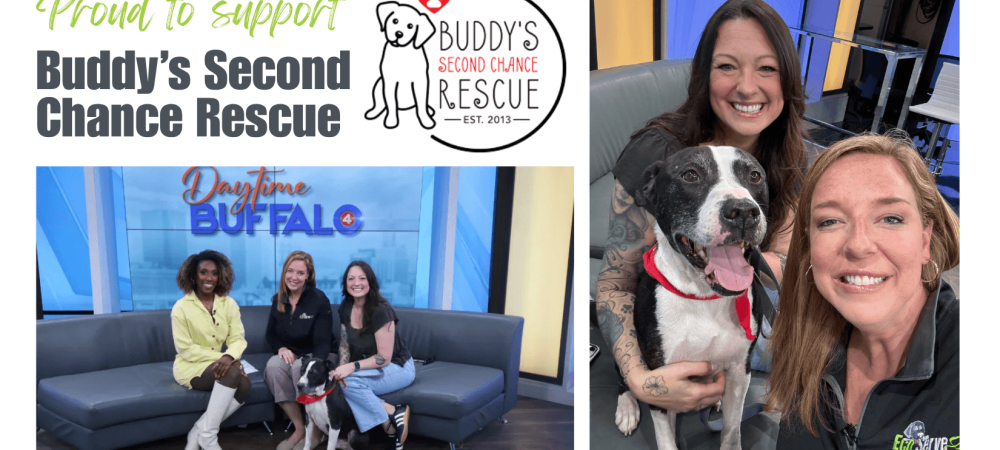 buddys second chance hero