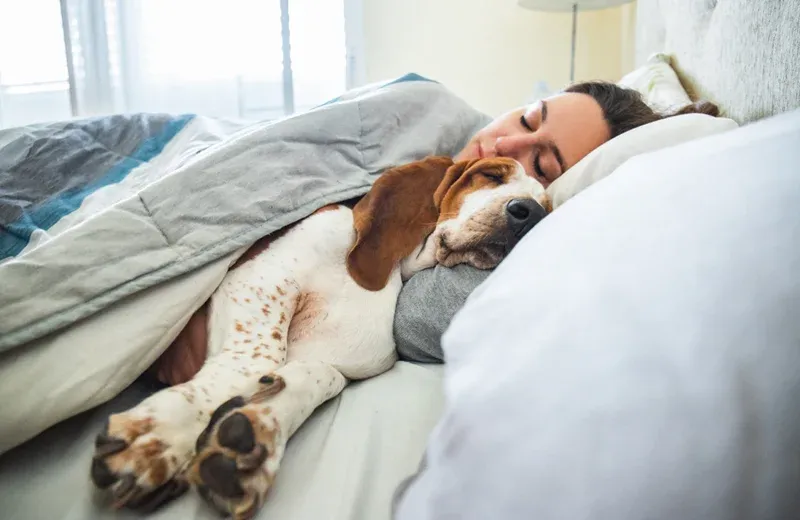 woman sleeping in bed bug free bed