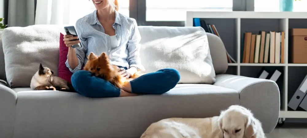 woman, dog, indoors 
