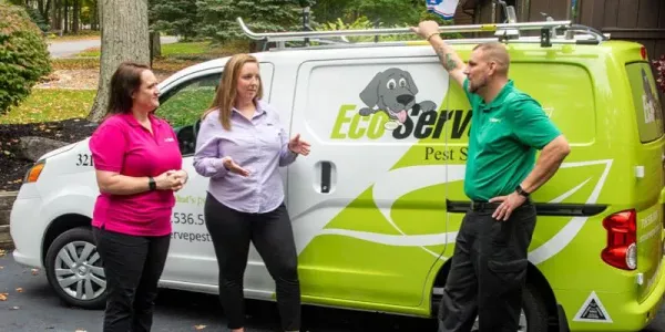 commercial pest control