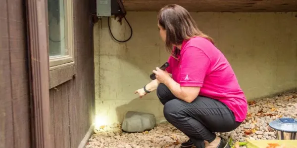 rodent inspector