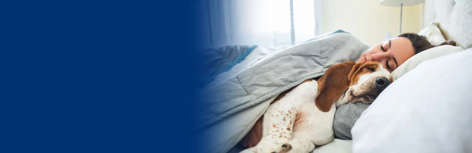 Woman and pet dog sleeping in bed bug free bed